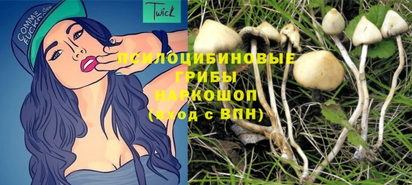 спайс Алексеевка
