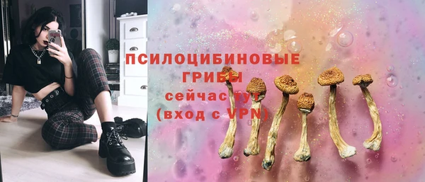дживик Алексин